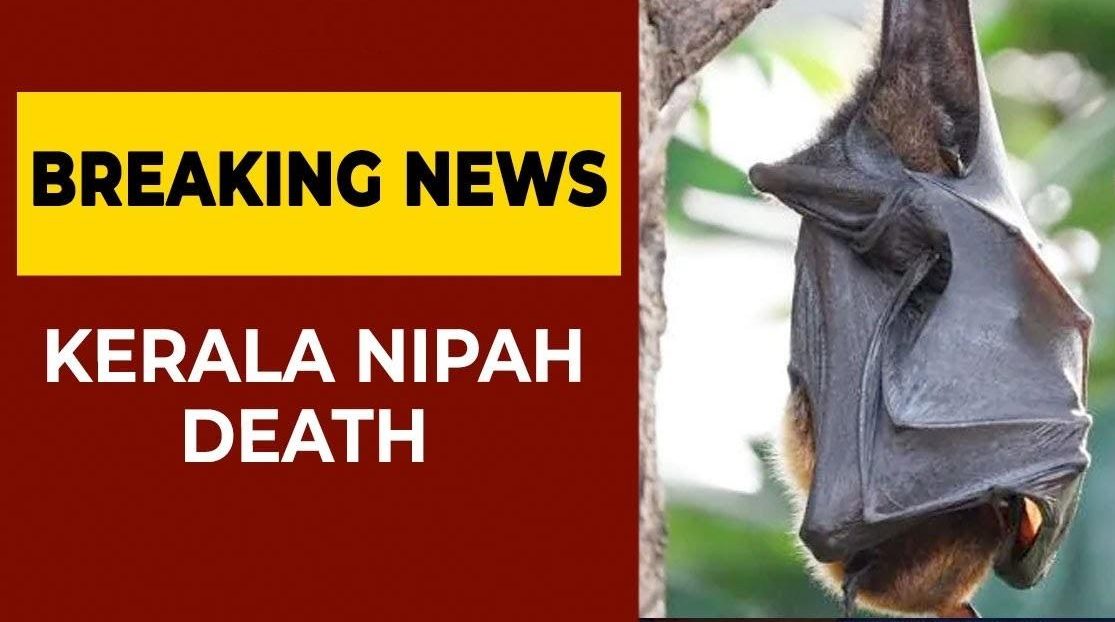 Nipah virus infection has resurfaced in Kozhikode district for the third time in the past five years, causing the death of a 40-year-old man, Nipah Virus Resurfaces in Kerala, Claiming Two Lives: Latest Updates